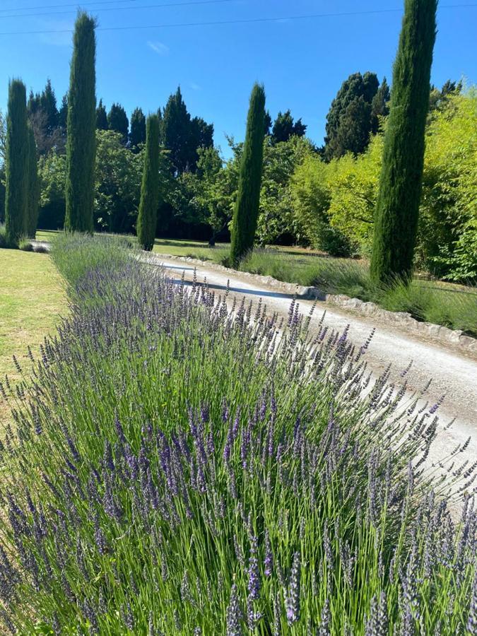 Mas Des Bambous Hotell Saint-Rémy-de-Provence Eksteriør bilde