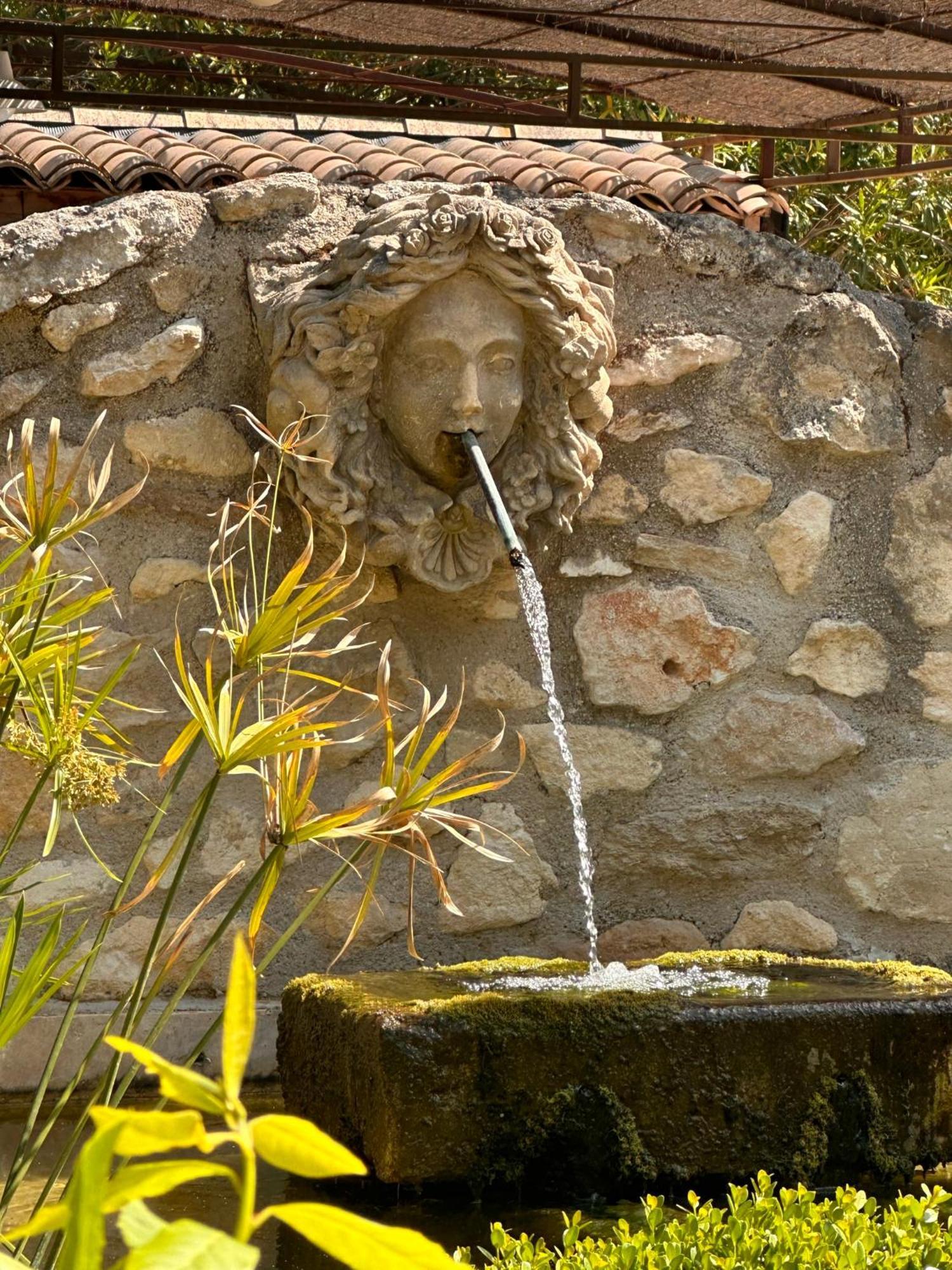 Mas Des Bambous Hotell Saint-Rémy-de-Provence Eksteriør bilde