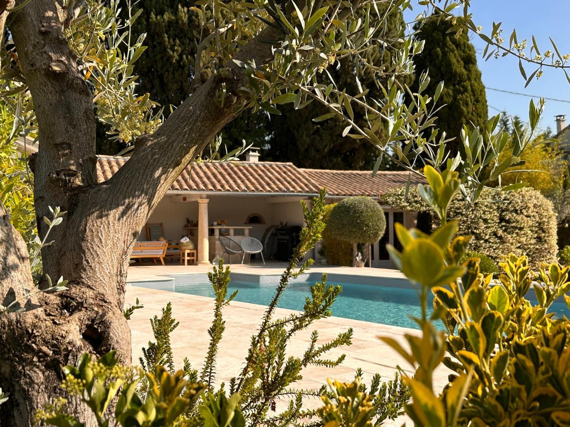 Mas Des Bambous Hotell Saint-Rémy-de-Provence Eksteriør bilde